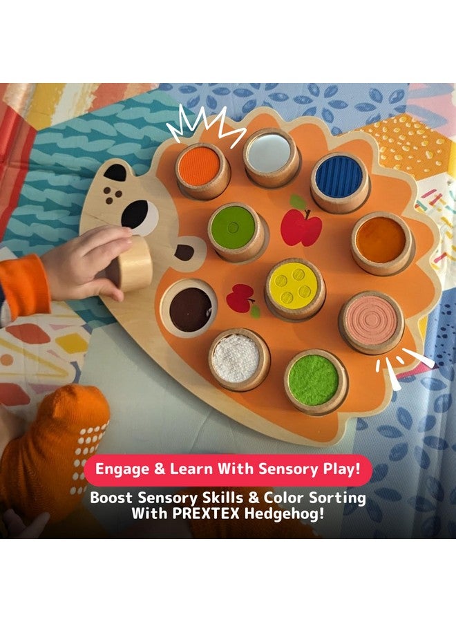 Prextex PREXTEX Sensory Hedgehog Toys for Toddlers - Montessori Color Sorting Toys - Includes 1 Wooden Board and 10 Colored Sensory Blocks - for Ages 12 Months and Up - Educational Toy - 1.5x12.9x10.7 in  - Image 5
