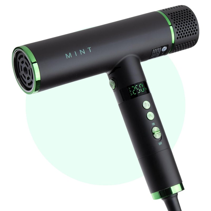 MINT Hummingbird Smart Professional Hair Dryer with Diffuser Best Lightweight Blow Dryer with Brushless Motor High Speed Ionic Hair Dryer with Ultra Quiet BLDC Motor