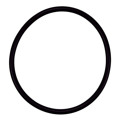 Pentair R172009 Cap O-Ring Replacement Pool and Spa Filter and Feeder - Image 1