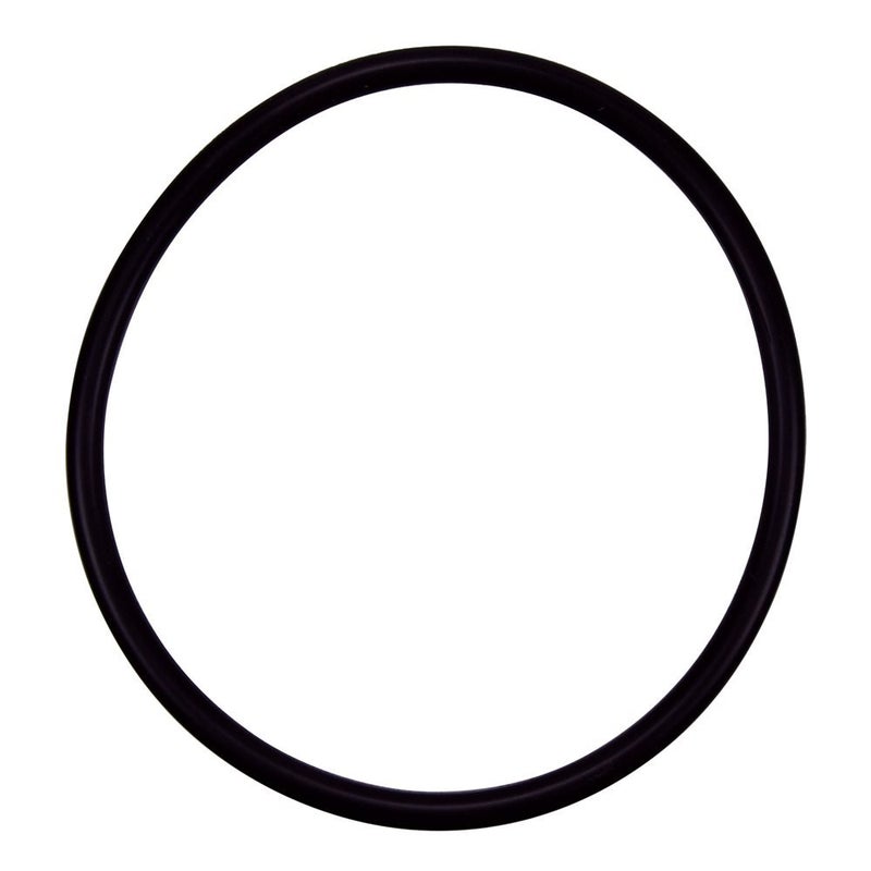 Pentair R172009 Cap O-Ring Replacement Pool and Spa Filter and Feeder - Image 4