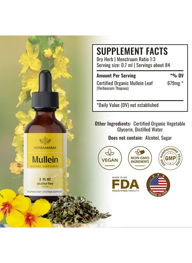HERBAMAMA - Mullein Leaf Tincture Lung Cleanse Vegan Lung Detox Respiratory Health And Immune Support Drops Natural Supplement Liquid Extract 2 Fl.Oz. - Image 1