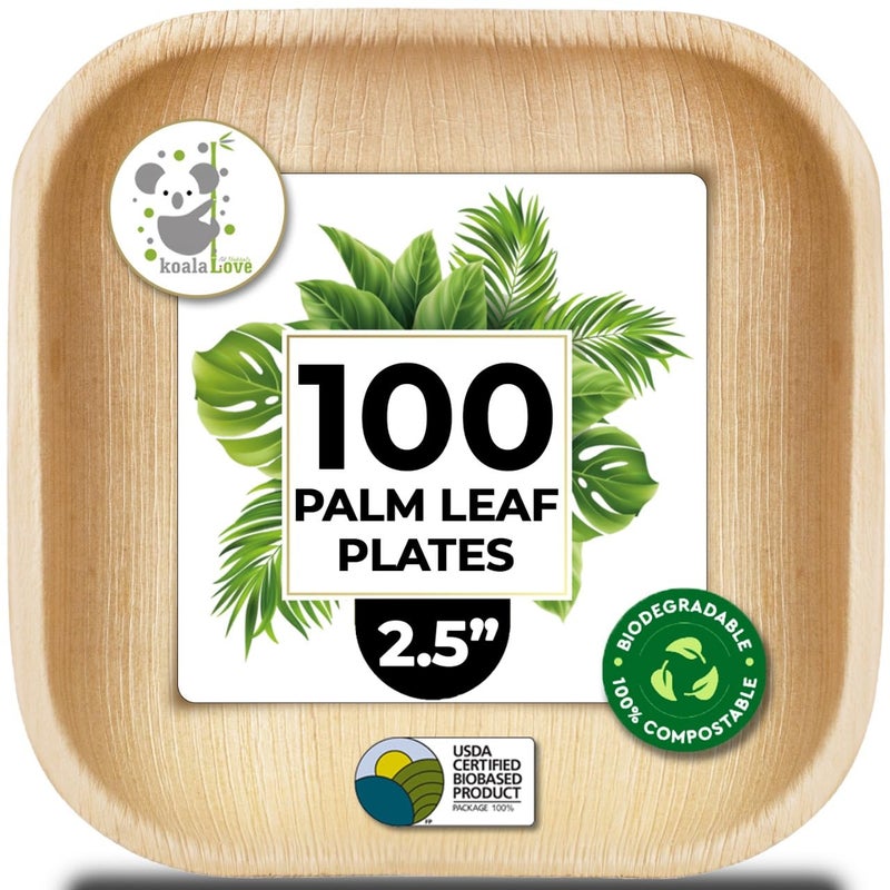 Palm Leaf Plates Bamboo Paper Disposable 25 Inch Small Mini Sushi Square Party Plates 100 Pack Bulk Biodegradable Compostable Elegant Alternative To Wooden Plastic Plate By KoalaLove