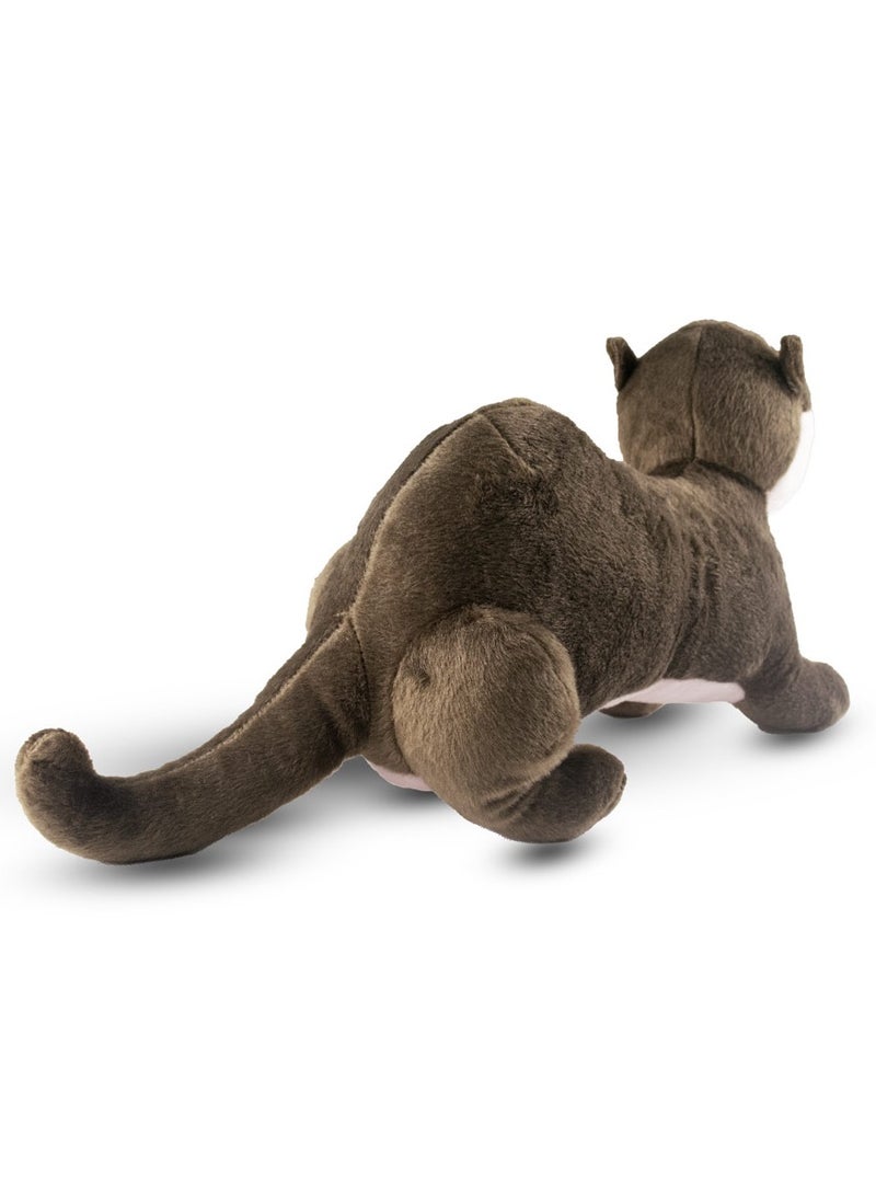 MAD TOYS Otter Cuddly Plush Animal Stuffed Toys Brown Cute Sea Creature Soft Toys - Image 4