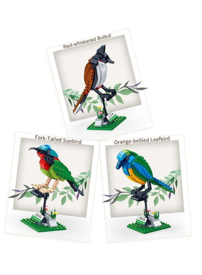 BanBao مجموعة طوب الطيور من بانباو 408 قطعة | مجموعة ألعاب تعليمية | مجموعة طوب للبناء لتطوير عقل الطفل - Image 3