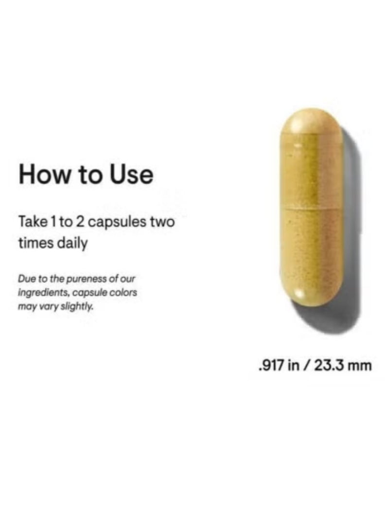 فوز اليوم ثورن داي وينز بيربيرين-٥٠٠ | مكمل دعم سكر الدم | ٦٠ كبسولة - Image 4