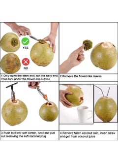 JB Export JB EXPORT Effortless Coconut Opener and Driller Enjoy Fresh Coconut with Ease  - Image 5