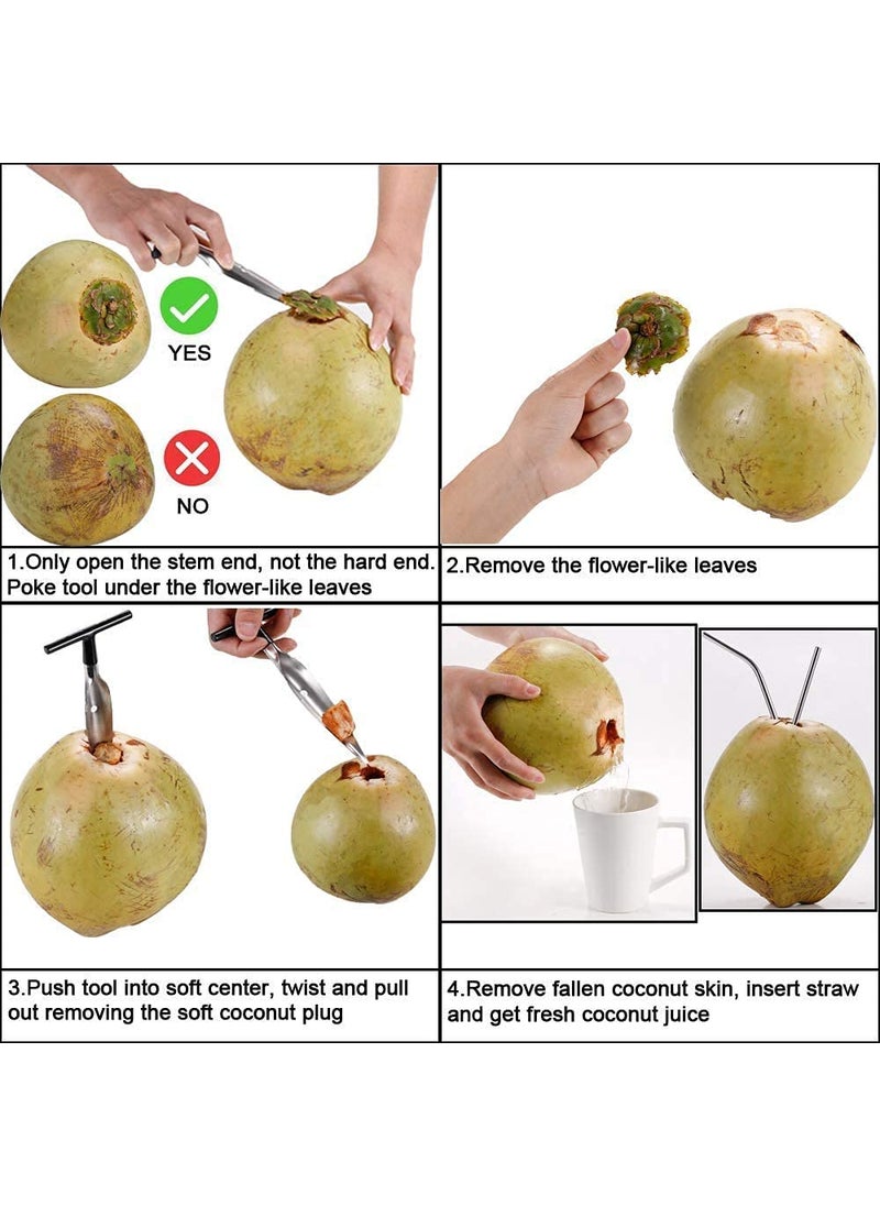 JB Export - JB EXPORT Effortless Coconut Opener and Driller Enjoy Fresh Coconut with Ease - Image 1