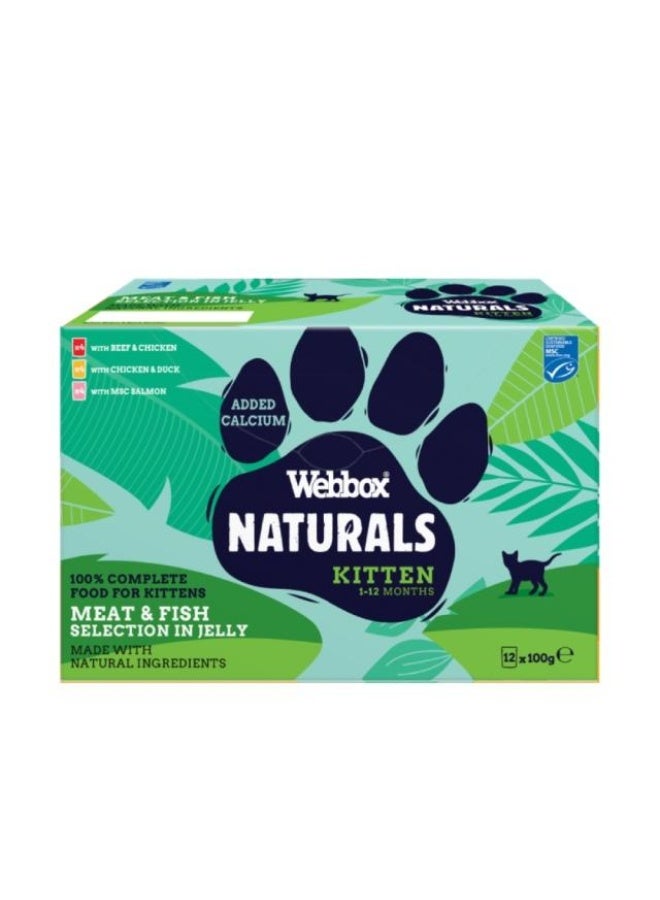 Wet Kitten Food Fish & Meat  in Jelly - 12 x 100g