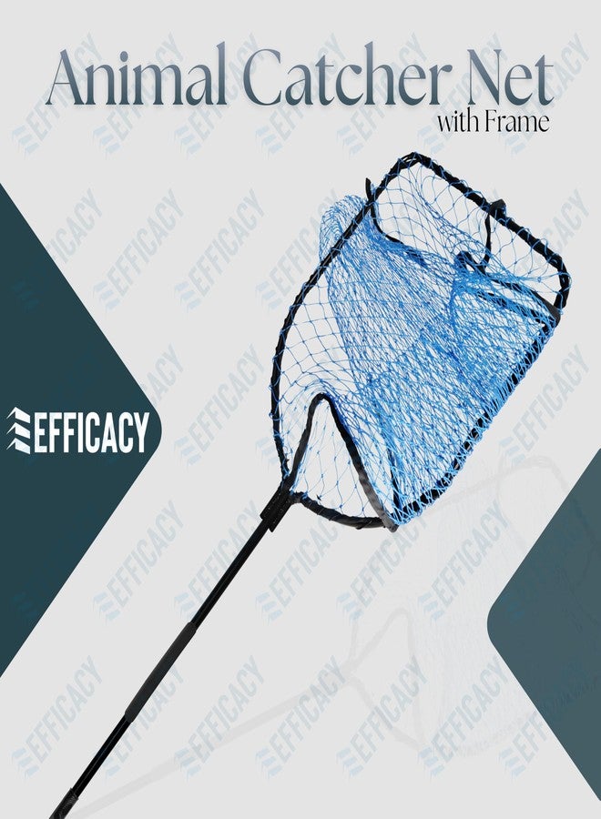 Efficacy Dog Catcher Net with (Blue) Net Frame 83x59 Cm Fixed Handle 116 cm Nylon Net & Mild Steel Rod Animal Control Catcher U-Shaped Frame Design for Dog and Other Stray Wild Life Animals Rescues - Image 2