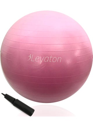 Pilates Ball 65 cm -Ball Inflation Pump - pzsku/Z14EAB17D9112DD703D21Z/45/_/1725721351/b7039550-7d94-4efd-92db-0508a5a10c80