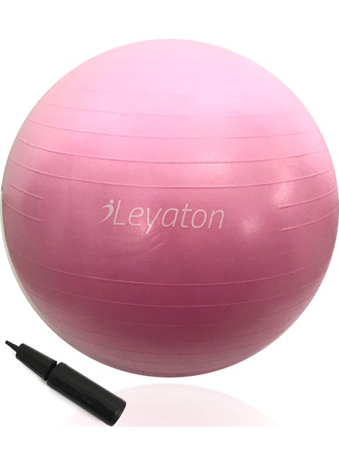 Pilates Ball 65 cm -Ball Inflation Pump