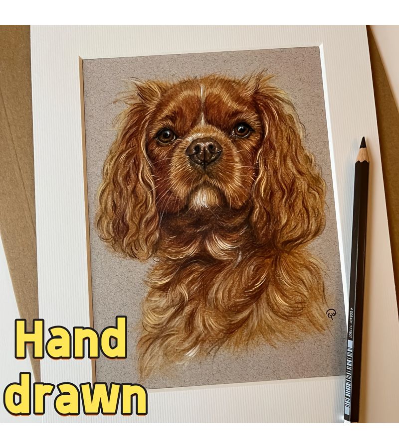 Custom Hand Drawn Black And White Pet Portrait Sketch From Photo Memorial Gift Realistic Pencil Art With Fur Texture And Expressive Eyes Unique Home Decor For Dog Lovers 8 27x11 42inch Unframed - Image 1