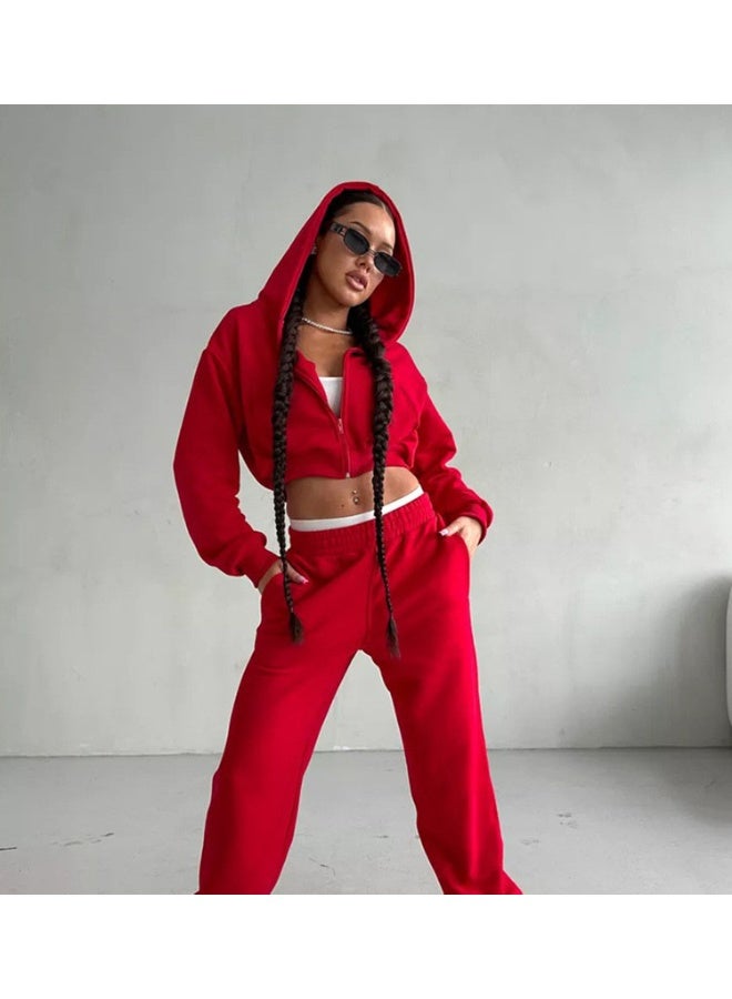NIBEMINENT Pants 2 Piece Set Women Hoodies Tracksuit  Spring Casual Zip Long Sleeve Jacket +Elastic Waist Sweatpants Matching Suit - Image 2