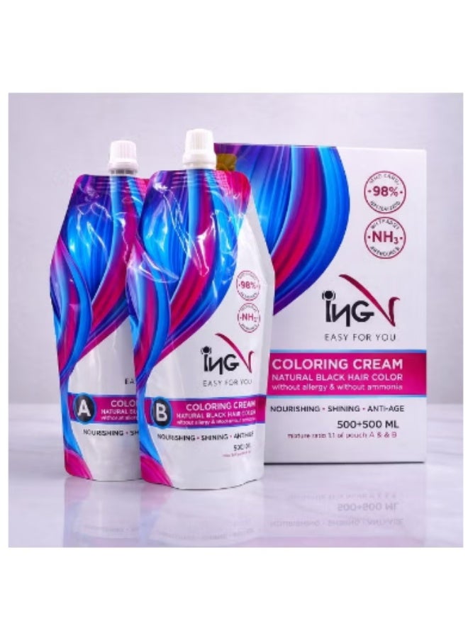 ING Professional Coloring Cream 2x500ml – Ammonia Free Hair Color Cream with Argan Oil, Avocado Oil & Vitamin C – Permanent Professional Hair Dye for Salon Use, Full Gray Coverage, Long Lasting Hair Colour - Image 1