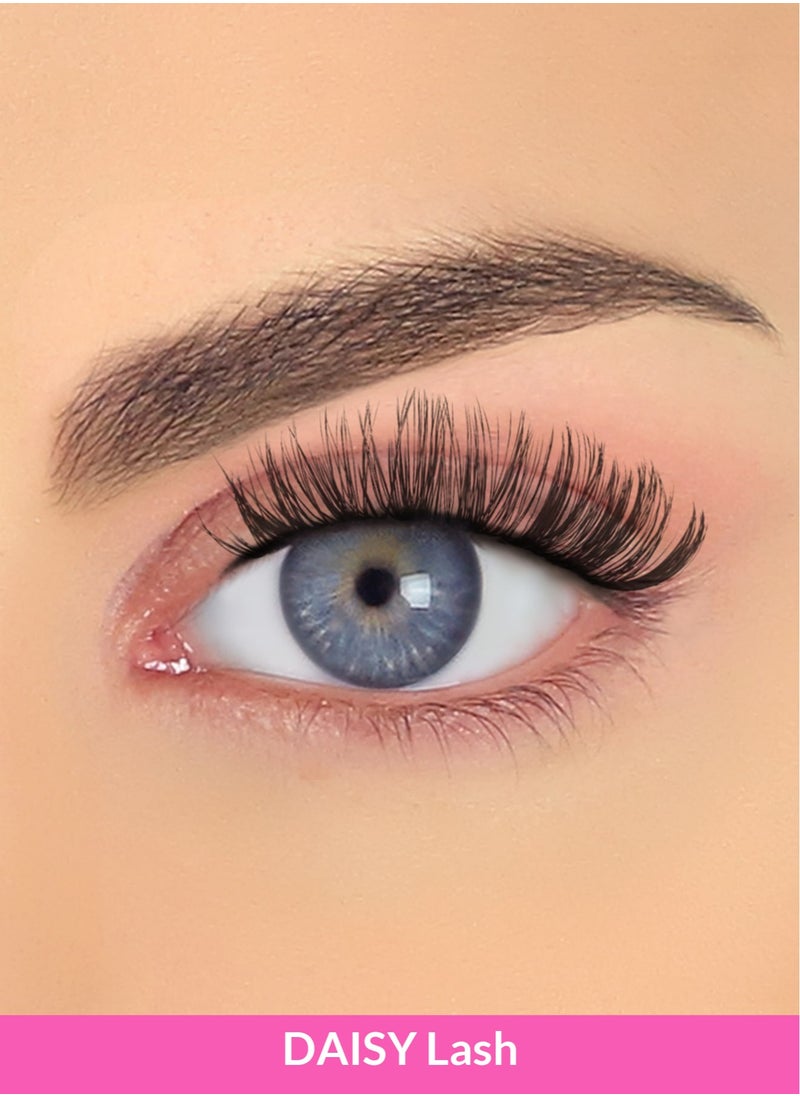 PINKY GOAT - DAISY Curled Lashes - Image 1
