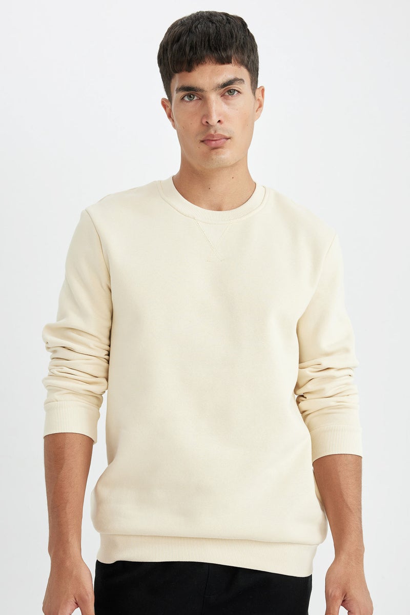 DeFacto Beige Man Regular Fit Crew Neck Thick Sweatshirt Casual - Image 1