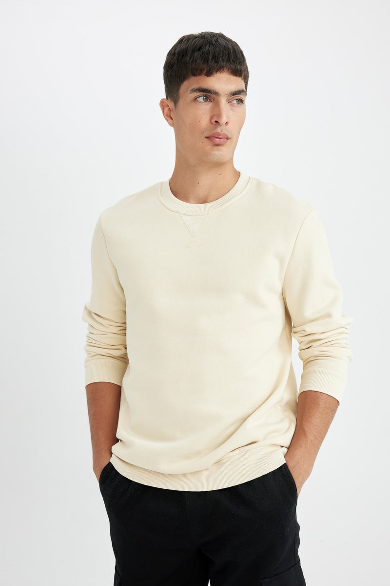 DeFacto Beige Man Regular Fit Crew Neck Thick Sweatshirt Casual - Image 3