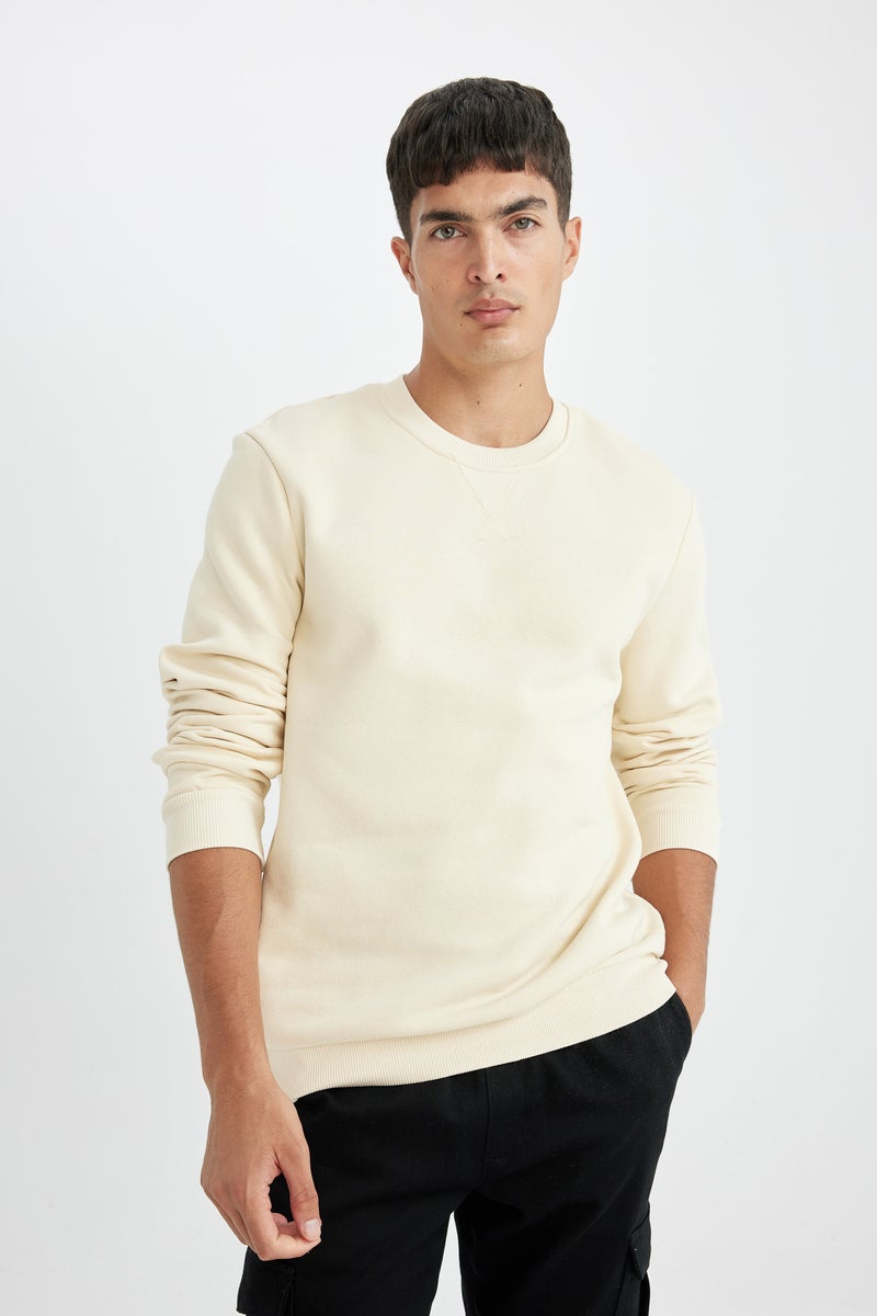 DeFacto Beige Man Regular Fit Crew Neck Thick Sweatshirt Casual - Image 4