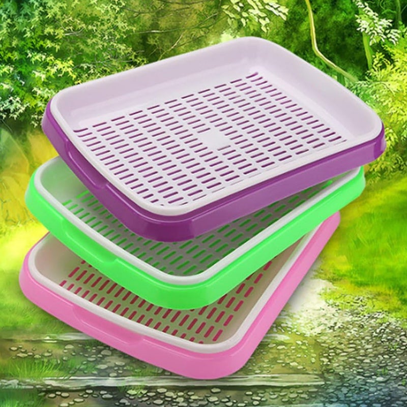 woobles Seed Sprouter Tray Soil-Free Food Grade PP Healthy Wheatgrass Grower-35x26x5cm(Green) Light Green - Image 4