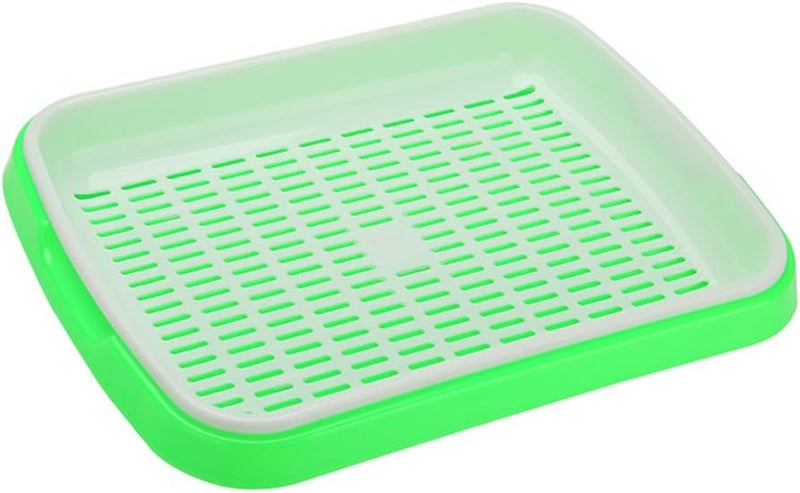 woobles Seed Sprouter Tray Soil-Free Food Grade PP Healthy Wheatgrass Grower-35x26x5cm(Green) Light Green - Image 1