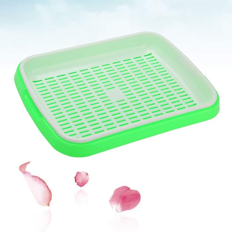 woobles Seed Sprouter Tray Soil-Free Food Grade PP Healthy Wheatgrass Grower-35x26x5cm(Green) Light Green - Image 2