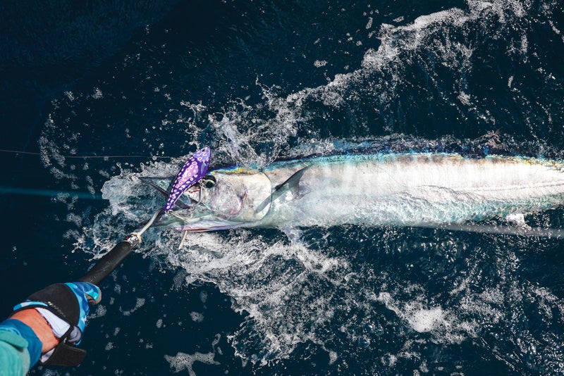 nomad design Madmacs 200mm High Speed Sinking 8" Trolling Lure for Bluefin Tuna Yellowfin Wahoo and Mahi Mahi, Hot Pink Mackerel - Image 3