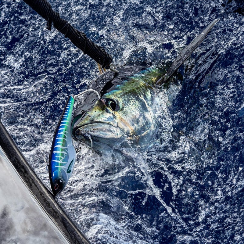 nomad design Madmacs 200mm High Speed Sinking 8" Trolling Lure for Bluefin Tuna Yellowfin Wahoo and Mahi Mahi, Hot Pink Mackerel - Image 4