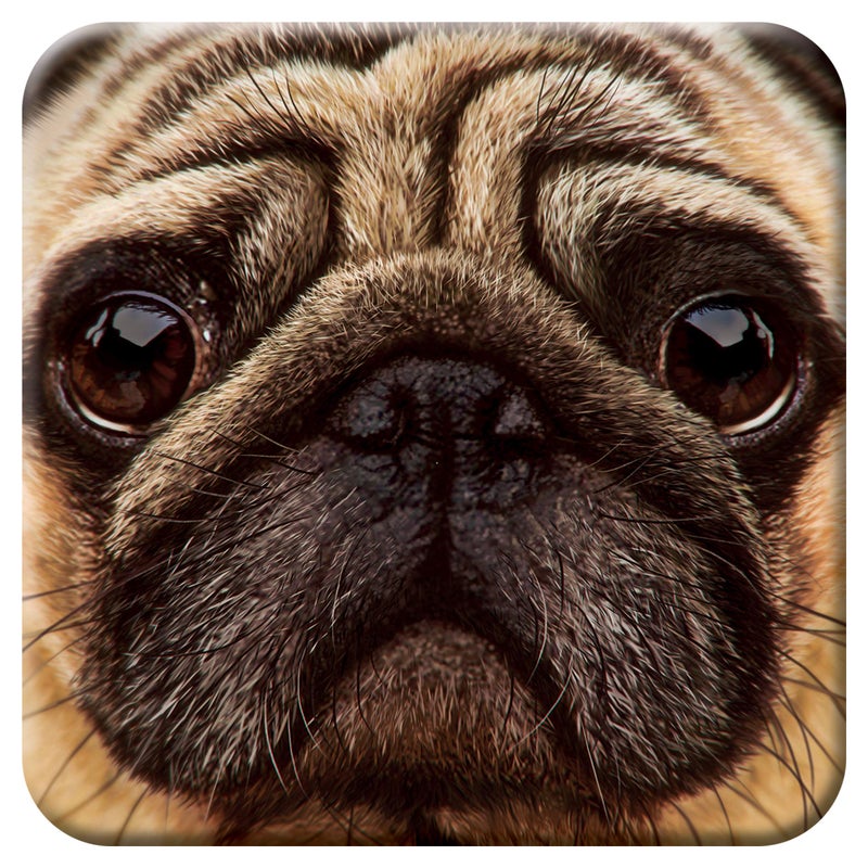  ديلوكس بايز 3D Livelife Cork Coaster - Pug من Deluxebase. تشرب السفينة مع صورة حيوان ثلاثية الأبعاد. حصيرة شرب الجدول غير القديم للمنزل للديكور المنزلي والملحقات الزخرفية. - Image 1