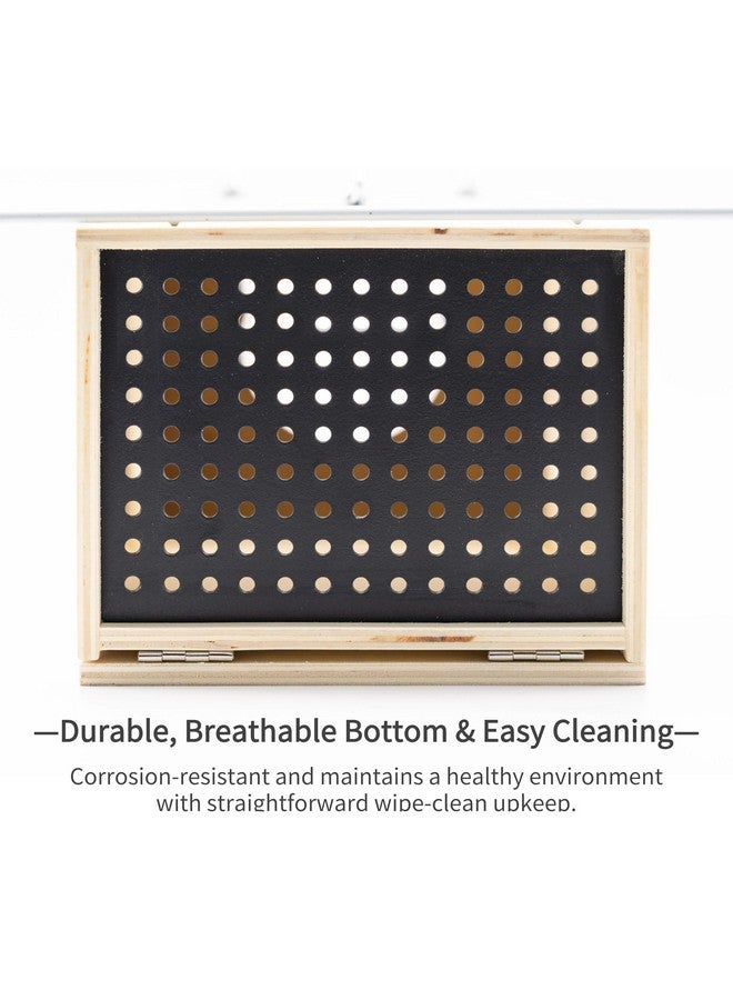 NEOUZA Sugar Glider Nest Nesting Box House for cage， Small Animal Accessories，Made of Wood, Easy to Clean，Toys Supplies - Image 5