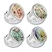 Modixun 4 Pack Elegant Small Pill Box 3 Compartments Pill Case for Purse Pocket with Mirror Metal Travel Portable Medicine Tablet Vitamin Holder Organizer Container Style A - Image 1
