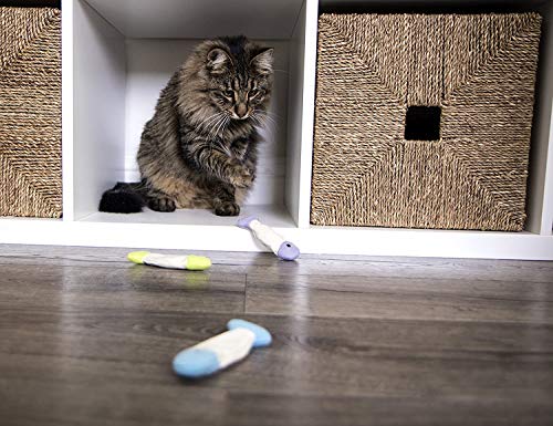 SmartyKat (9 Count Fish Flop Crinkle Catnip Cat Toys - Multi Color, 9 Count - Image 4