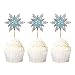 Ercadio 24 Pack Snowflake Cupcake Toppers Double Layers Silver and Blue Winter Theme Cupcake Picks Baby Shower Kids Birthday Party Christmas Cake Decorations Supplies - Image 3