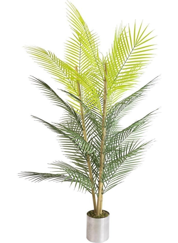 Nettenevime Yapa Areca Tree 27 Leaves 115 cm - pzsku/Z14F81D63FDD3255AC35AZ/45/_/1725722620/f12334f0-fb1b-4037-bb08-626f22e57278