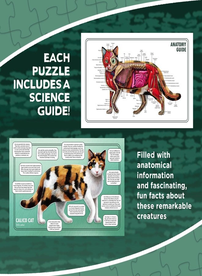 Genius Games Cat Animal Anatomy Floor Puzzle | 100-Piece Double Sided Jigsaw Puzzle | Large Floor Puzzle for Kids Ages 4–8, 3–5, 8–10 | Fun and Educational Toy for Kids, Toddlers, and Families - Image 5