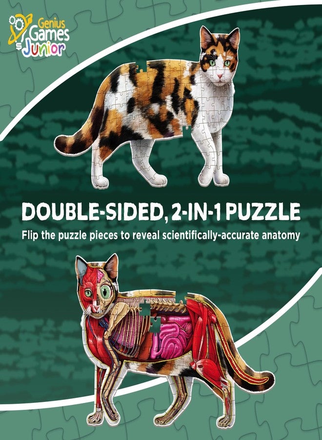 Genius Games Cat Animal Anatomy Floor Puzzle | 100-Piece Double Sided Jigsaw Puzzle | Large Floor Puzzle for Kids Ages 4–8, 3–5, 8–10 | Fun and Educational Toy for Kids, Toddlers, and Families - Image 3
