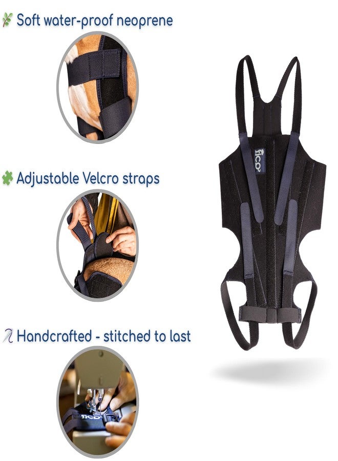 Fico Dog Back Brace - Adjustable Spine Support for IVDD, Arthritis & Post-Surgery Recovery - Lightweight, Durable & Vet Approved - 5 Sizes (XS-XL) (X Large) - Image 5