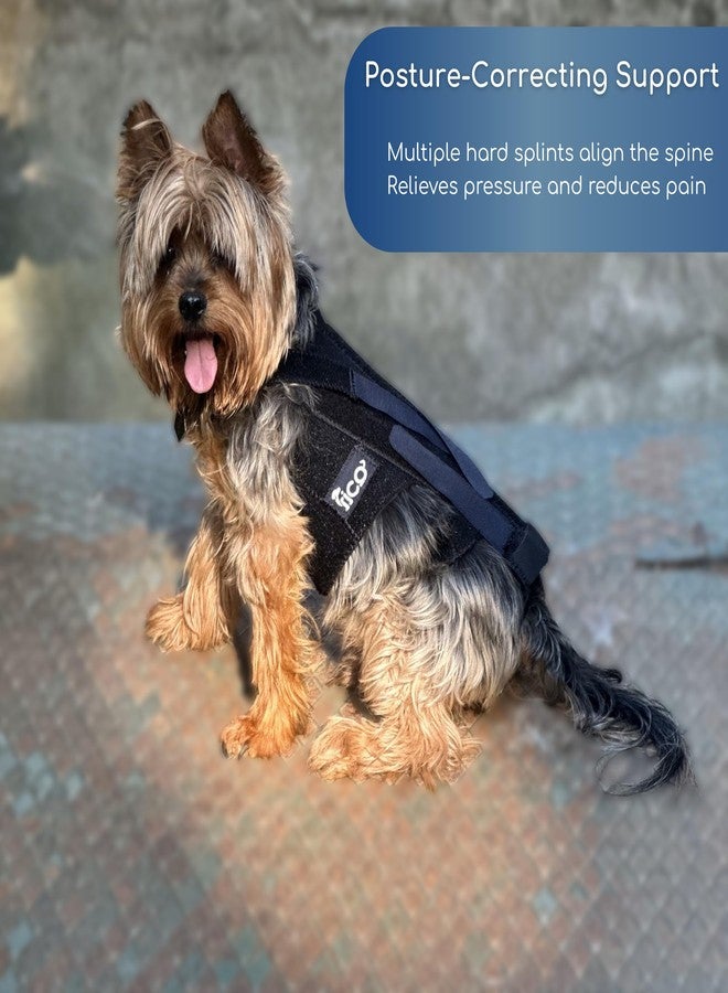 Fico Dog Back Brace - Adjustable Spine Support for IVDD, Arthritis & Post-Surgery Recovery - Lightweight, Durable & Vet Approved - 5 Sizes (XS-XL) (X Large) - Image 3