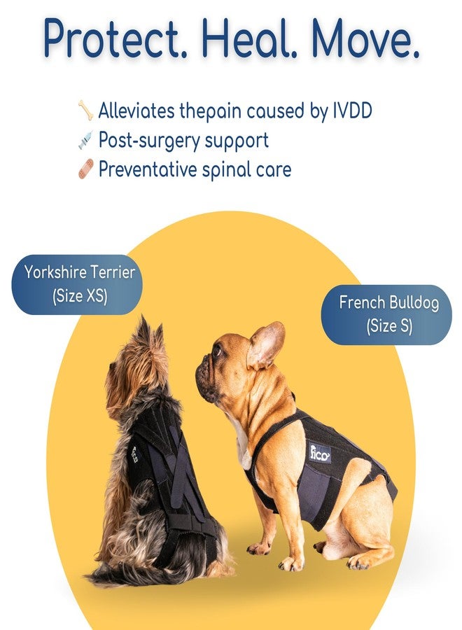Fico Dog Back Brace - Adjustable Spine Support for IVDD, Arthritis & Post-Surgery Recovery - Lightweight, Durable & Vet Approved - 5 Sizes (XS-XL) (X Large) - Image 4