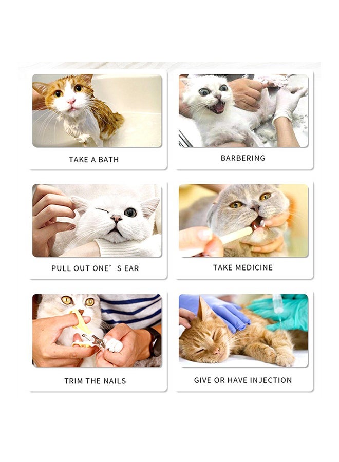 إسكدنيا حذاء للقطط مضاد للخدش من 4 قطع أخضر 15x9x3.5سم - Image 2