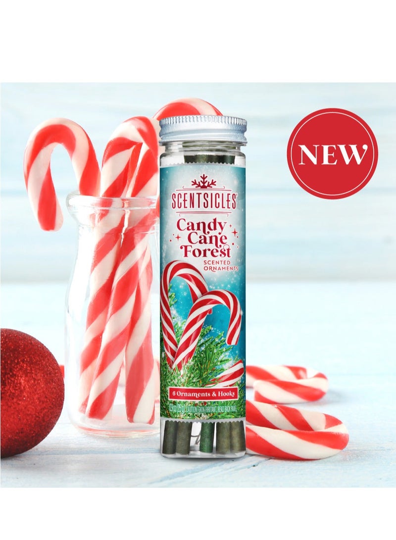 ScentSicles زينة معطرة برائحة غابة عيد الميلاد بعصا الحلوى - 1 زجاجة (6 قطع إجمالي)  - Image 4