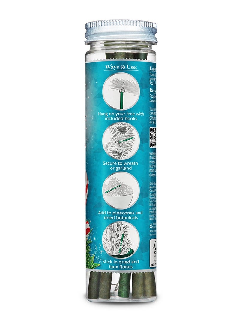 ScentSicles زينة معطرة برائحة غابة عيد الميلاد بعصا الحلوى - 1 زجاجة (6 قطع إجمالي)  - Image 3