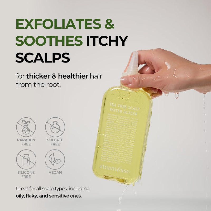 STEAMBASE علاج فروة الرأس من شجرة الشاي من ستيمباس | ينظف ويقشر فروة الرأس الدهنية | BHA طبيعي وشجرة الشاي | يزيل الروائح والتراكمات | مقشر مضاد للحساسية، 8.42 أونصة سائلة - Image 2