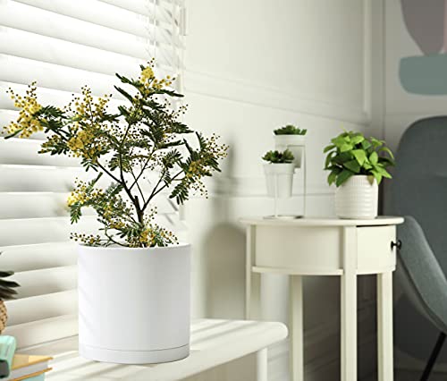 D'vine Dev 8 Inch Plastic Planter Pots for Plant Pot with Drainage Hole and Seamless Saucers, White Color, 74-X-A-1 - Image 5