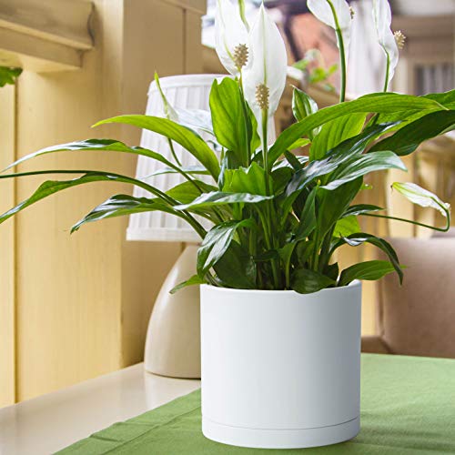 D'vine Dev 8 Inch Plastic Planter Pots for Plant Pot with Drainage Hole and Seamless Saucers, White Color, 74-X-A-1 - Image 3