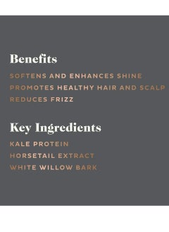 scotch porter Scotch Porter Hydrating Hair Wash for Men | Gentle Shampoo Promotes Softness, Shine & Scalp Health | Free of Parabens, Sulfates & Silicones | Vegan | 13oz  - Image 2