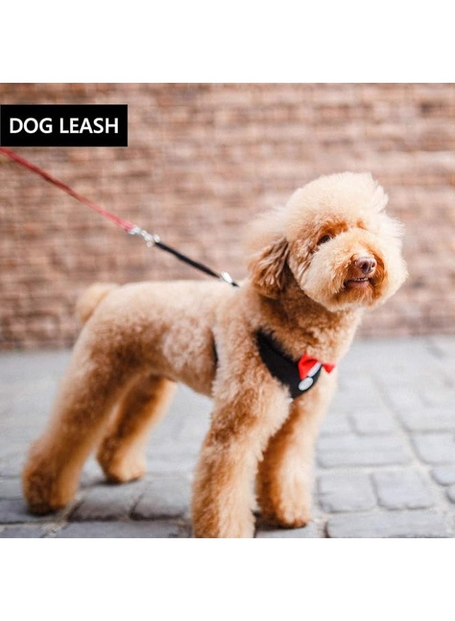 10pcs M6 Stainless Steel Spring Snap Hook Keychain Clip for Keys, Bags, Water Bottles, Outdoor Accessories - Image 2