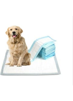 CSR Cat Dog Pee Training Pad 60X90 