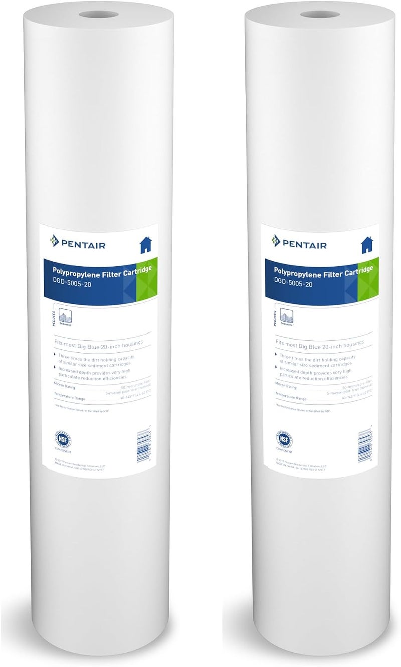 Pentek Pentair DGD-5005-20 Big Blue Water Filter Cartridge, 20-Inch Whole House Sediment Filter, Pack of 2 - Image 1