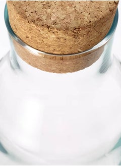 co arma Carafe With Stopper Glass Cork  - Image 3