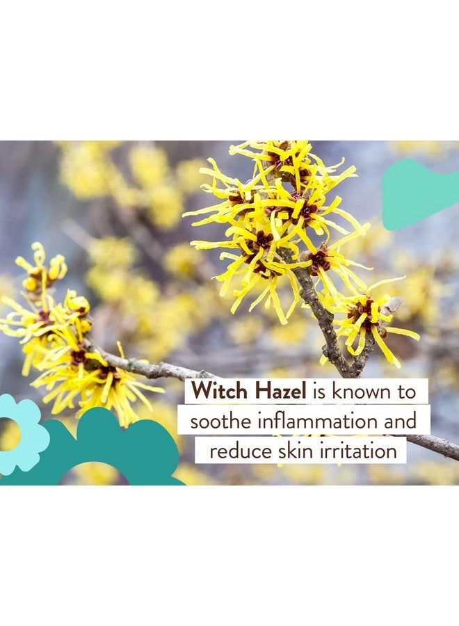 Babo Botanicals Eucalyptus Remedy Shampoo & Wash - Invigorating Eucalyptus & Rosemary Essential Oils -For all Ages - EWG Verified - Vegan - Cruelty Free - Image 5